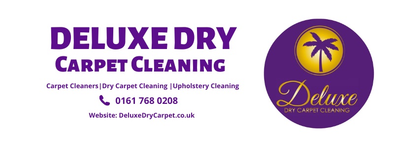 Home Upholstery Cleaning Service  -logo